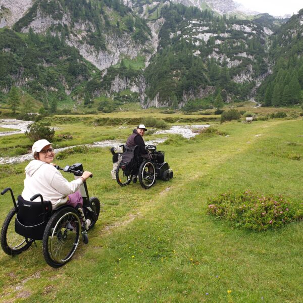 Hier steht die Beschreibung